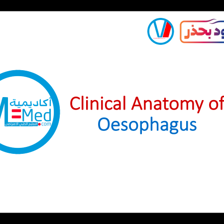 The Oesophagus (Esophagus) – Clinical Anatomy